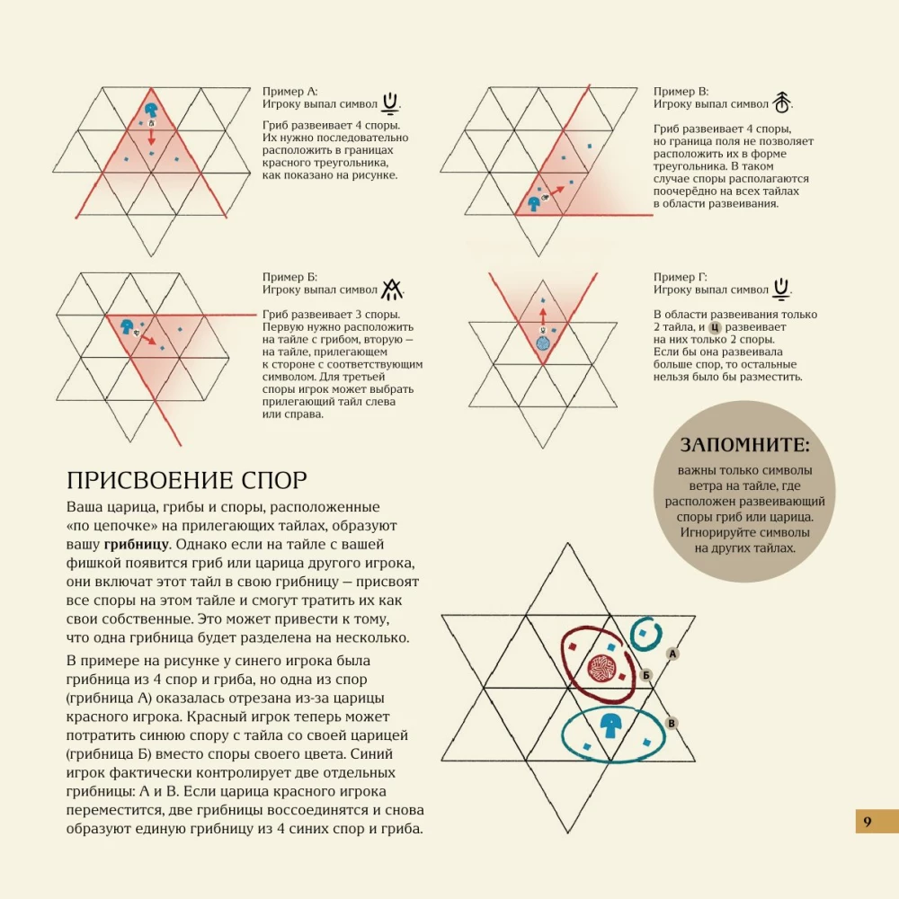 Stalo žaidimas - Micelijus